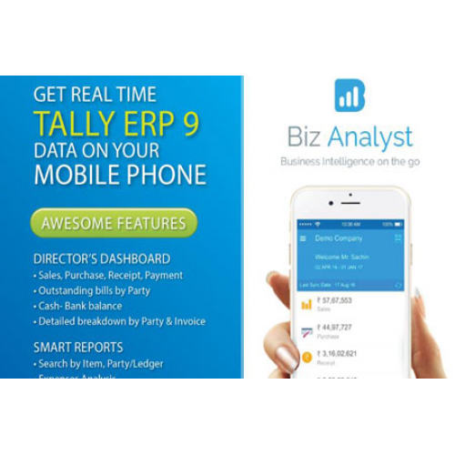 T Biz Analysist